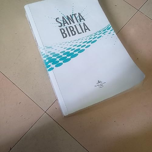 Episodio 17 - genesis primer libro de moises