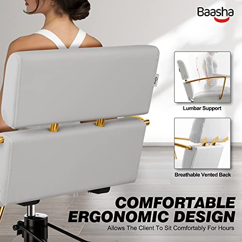 Baasha Salon Chair For Hair Stylist, Gold With Gray Leather Hair Salon Chair, Heavy-Duty Styling Chair Beauty Hair Chair, 360° Swivel, Max Load Weight 330 Lbs - Shiny Gold & Gray #TOP6