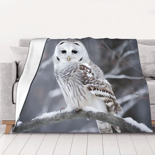 asbwuo Manta de Forro Polar Suave y acogedora de 80 x 60 Pulgadas, Ligera y cálida, Ideal para sofá, Cama, Silla, decoración del hogar, búho Blanco Invernal.