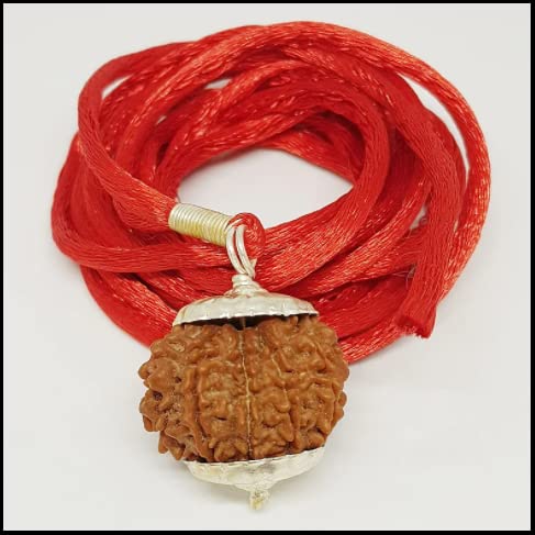 10 ???? ????????? 10 face rudraksha Round Shape 10 Mukhi Rudraksha Original Certified by Lab Dus Mukhi Rudraksha with Cap & Red Thread Ten Face ?? ???? ????????? by The Gallery Of Gemstones-image-27