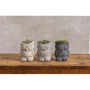 Primitives by Kathy Set of Three Cement Owl Planter Set Primitives by Kathy Set of Three Cement Owl Planter Set