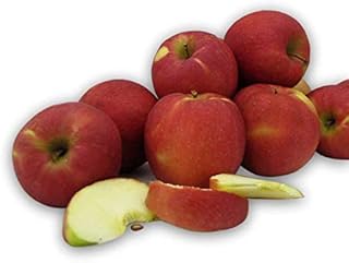 Fresh Pink Lady Apples (Box of 16 Apples)