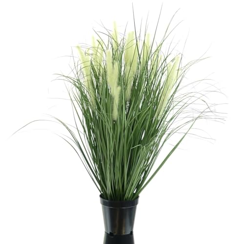 Gasper Ziergras - Pennisetum Grün buschig schwarzer Topf 65 cm - Kunstpflanzen