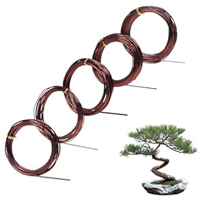 beinkmake Bonsai-Trainingsdraht 5 Größen