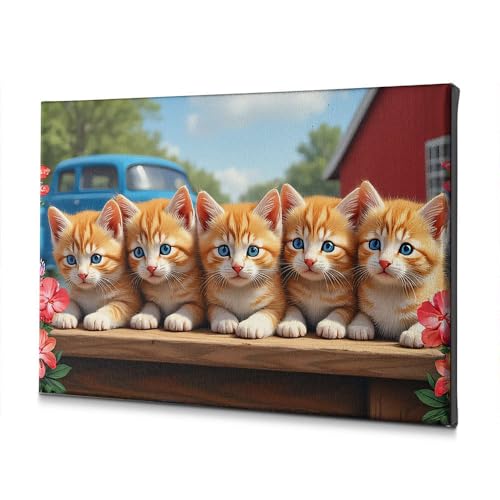 Toile décorative cinq chatons aux yeux bleus WTD 30x40 cm