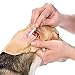 6 Inch Long Cotton Swabs of Medium and Large Pets Ears Cleaning or Makeup 100pcs