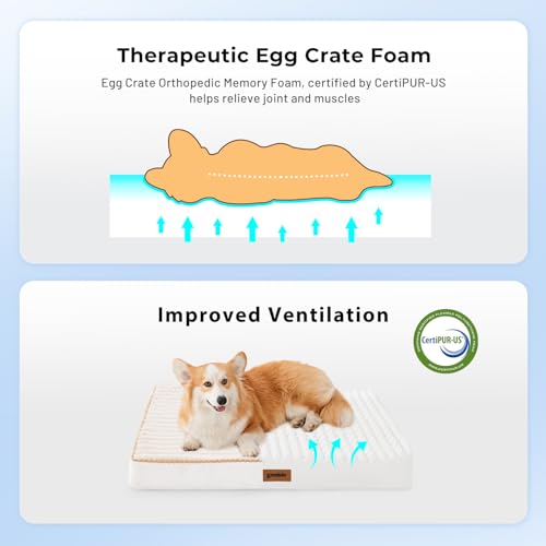 ZOMISIA Dog Crate Bed for Medium Size Dog - Waterproof Puppy Bed for 30 Inch Kennel with Removable Washable Corduroy Cover, Orthopedic Support with Egg Crate Foam Filling, Grey