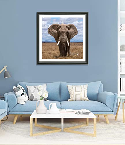 Ltyhhk 22X22 Picture Frame Solid Wood,Displays Picture 20X20 With Mat Or 22X22 Inch Without Mat, Poster Frame 22X22 Photo Frames 20X20 Diamond Painting Frame Black (Lmkb2222) #TOP6