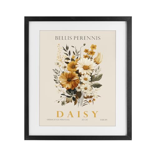 'Nature Daisy Bundle'| Framed Print Under Glass