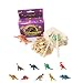 Mini Dinosaur Excavation Kit