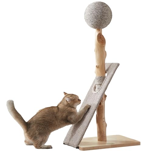 Gworld Lbg^[ ؐ L ܌  VR TCU ߂Ƃ L |[ TCU{[ VU܂Ƃ cu^ lC  \ \ ^s Ƌی gݗĊȒPiPS977j (yTCU{[{XNb`|Xgz)