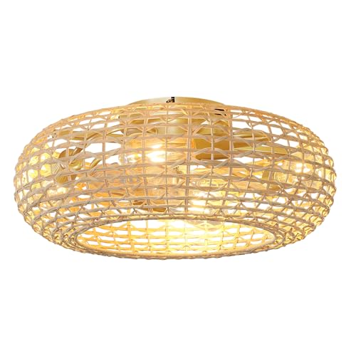 HAHZT Boho Ceiling Fan Lights: 20