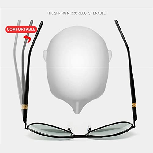 Image of Dervin Unisex Adult Polarized Aviator Sunglasses
