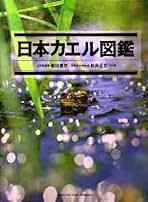 改訂版 日本カエル図鑑／前田憲男・松井正文／文一総合出版 日本産カエル大鑑 | 松井 正文, 前田 憲男 |本 | 通販 | Amazon