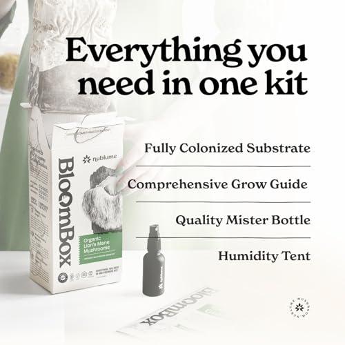 BloomBox Lions Mane Mushroom Grow Kit