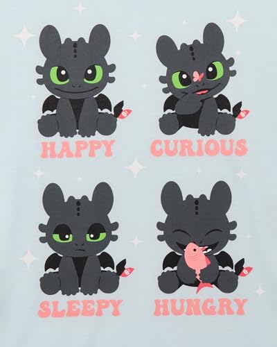 How to Train Your Dragon Shirt Girl's Toothless Short Sleeve Graphic Tee2