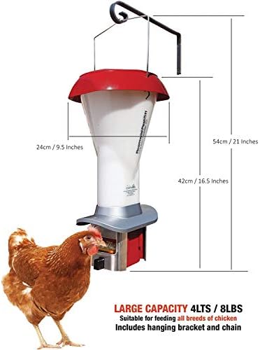 electronic chicken feeder
