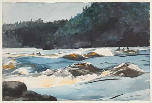 Tableau Winslow Homer Les rapides de la rivière Saguenay impression graffiti moderne 60x90cm
