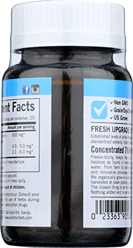 Eclectic Cranberry 300 Mg Cog Fduv Glass, Blue, 50 Count #TOP1