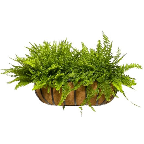 Vaso Jardineira de Fibra de Coco de Parede com Suporte 60cm