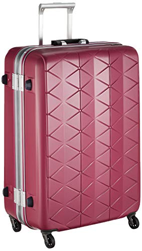 最安値 サンコー スーツケース フレーム Super Lights Mg C 軽量 消音 静音キャスター Mgc1 69 93l 69 Cm 4 2kg Eバーガンディの価格比較