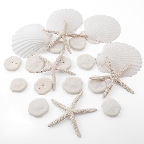 JQAQJU 20PCS Sand Dollars Starfish Scallop Shells for Crafts 3-4