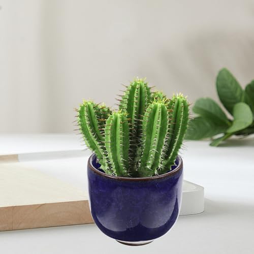 Pots de fleurs en céramique pour succulentes, cadeau idéal pour les proches - 4