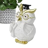 Durabilité assurée : grâce au matériau robuste en résine, ces décorations d'intérieur avec figurines de hiboux garantissent une longue durée de vie sans décoloration. Vous pouvez assurer la durabilité et la haute qualité, ce qui en fait un ajout parfait à la décoration de votre maison