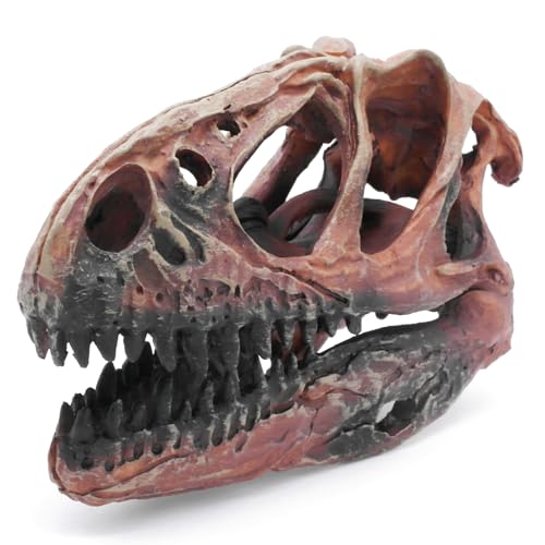 Image of Fish Hideout Aquarium Decor Decorations Dinosaur Skull Fish Tank Decor Cave Dinosaur Skull Betta Animal Halloween Large Tarantula Reptile Bones Snake for Terrarium Ornament