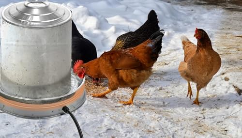 Poultry Chicken Water Heater: Chicken Water Heater Base for Winter, for Plastic/Metal Poultry Watere 2 Pack (11inch+15inch), Heated Waterer for Chickens 125W by Zoblise - Image 8