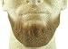 Full Chin Beard LIGHT BROWN w/ Spirit Gum- no. 2023 - REALISTIC! 100% Human Hair - Perfect for Theater and Stage ! Reusable