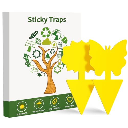Fruit Fly Traps 100 Pack Yellow Sticky Traps Fungus Gnat Traps Plant Fly Stickers for Indoor and Outdoor Use Protect The Plant