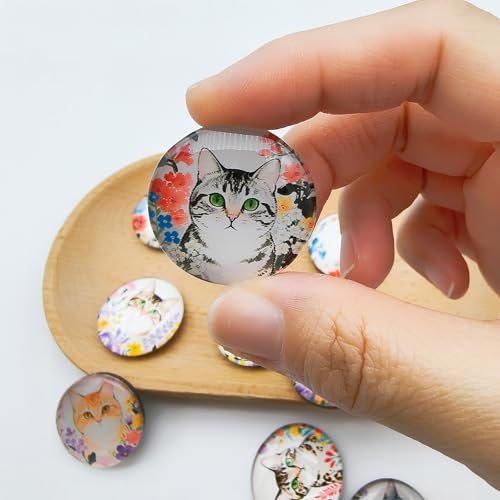 12 imanes decorativos de gato para refrigerador miniatura 5