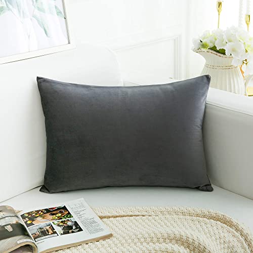 Image of 2 Pcs Reversible Velvet Pillow Covers Throw Pillow Case Soft Cozy Velvet Rectangle Home Decorative Throw Cushion Covers for Couch and Bed, Sofa (16x24 inch, Grey)