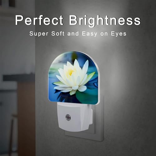 Image of White Lotus Flower Night Light Plug into Wall, Beautiful Lotus in Pond Dusk to Dawn Night Light Plug in,0.5w Energy Saving Sleep Friendly NightLight for Kids Boys Girls Home Decor