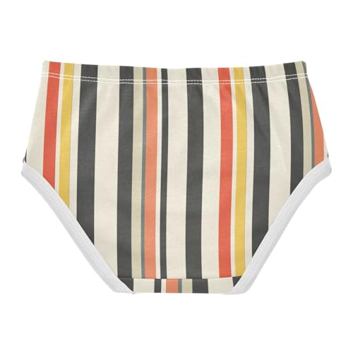 ZZKKO Vintage Stripes Boho Girls Underwear Toddler Panties for Girls Comfort Brief Size 2-8T2