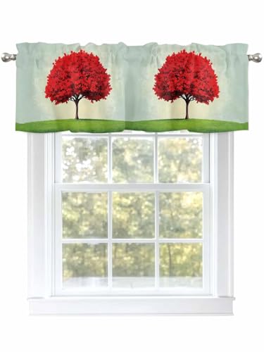 Dexnympq JtFJ[e p ʉ i Of[V   ԐF J[e  Ց UVJbg ՔM ډBɂ bh|Pbg 􂦂 Lb`  gC q iX ʏ X܏ y 1 ?4