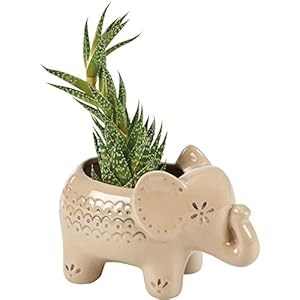 Primitives by Kathy Elephant Decorative Planter Primitives by Kathy Elephant Decorative Planter