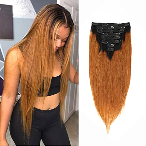 Ombre Clip in Hair Extensions Straight Hair 100% Remy Hair 130G Silky Straight Thick Real Human Hair Extensions For Black Women Hair 8Pcs A Total of 18 Clips(14Inch，#1B/30 Brown)