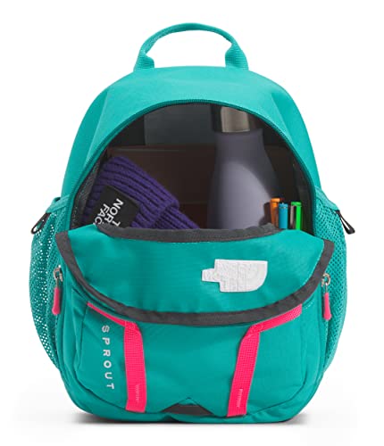 North Face Youth Sprout School Backpack 