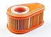 Produktbild Briggs and Stratton Original Briggs & Stratton Luftfilter 792038, Orange