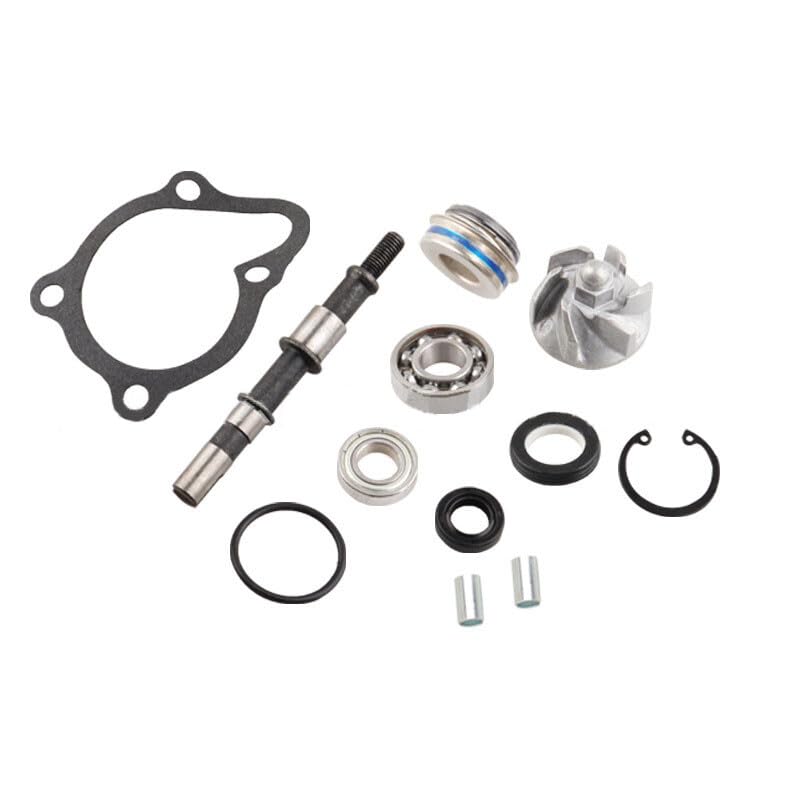 Amazon.co.jp: ホンダCH125/150 4T Kymco Dink125 Piaggio Hexagon