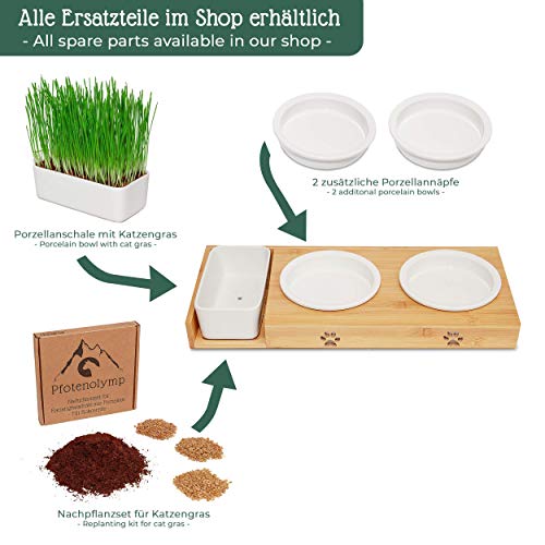Pfotenolymp® Futterstation mit Katzengras für Katzen - Katzennapf/Futternapf aus Porzellan - erhöhtes Napf-Set mit Katzengrasschale - Fressnapf hoch