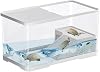 Turtle Tank Reptile Tank with Basking Platform Aquatic Tortoise Aquarium Reptile Habitat Tortoise Aquarium Habitat Turtle Carry