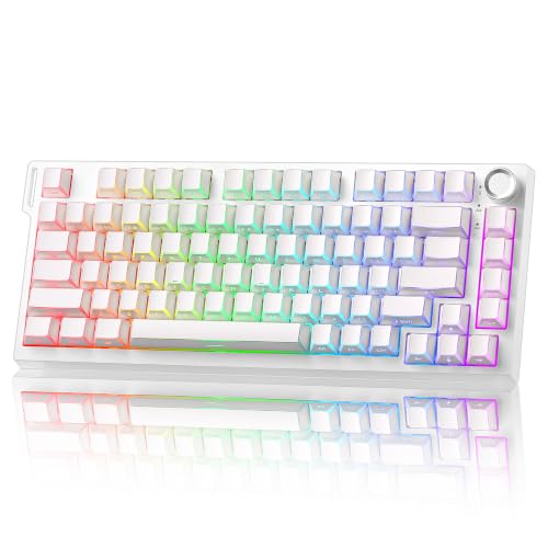 Image of YUNZII RT75 PRO Wireless Gaming Keyboard,Hall Effect Mechanical Rapid Trigger Magnetic Keyboard Bluetooth /USB-C /2.4G 8KHz Polling Rate,RGB Backlit,TGL /SOCD /DKS /MT (White, Red Switch)