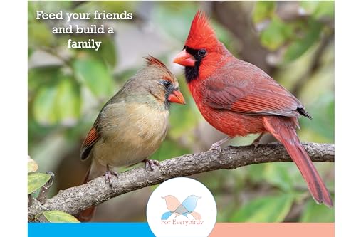 Gourmet Wild Bird Food Blend, Wild Bird Seed Mix with Peanuts 2.27kg (5lbs) for Blue Jays, Cardinals, Chickadees & Sparrows – Canadian Grown - Image 4