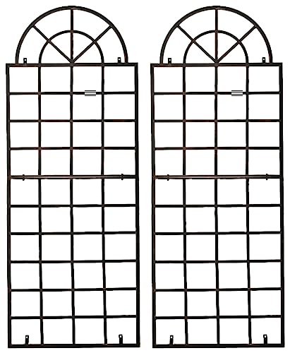 CLP Jeu de 2 Treillis muraux Viva avec Cadre I Treillis en Fer pour Fixation Murale I Disponible en différentes Couleurs, Couleur:Bronze