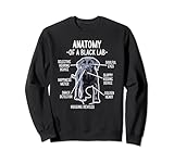 Photo Gallery black lab anatomy labrador retriever mom dad felpa Photo Gallery black lab anatomy labrador retriever mom dad felpa