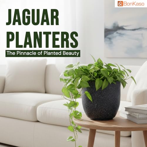 Image of BonKaso 8 Inch Jaguar Round Plant Pots | Highly Durable & Lightweight Polymer Planter for Indoor & Outdoor Use | Flower Pot (Gamla /Gamale) for Home, Office, Garden, Living Room & Balcony (Dark Grey)