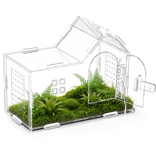 Jumping Spider Enclosure Mantis Enclosure Stick Insect Enclosure Acrylic Feeding Box Snail Praying Mantis Frog Acrylic Transparent Insect Habitat Terrarium Case
